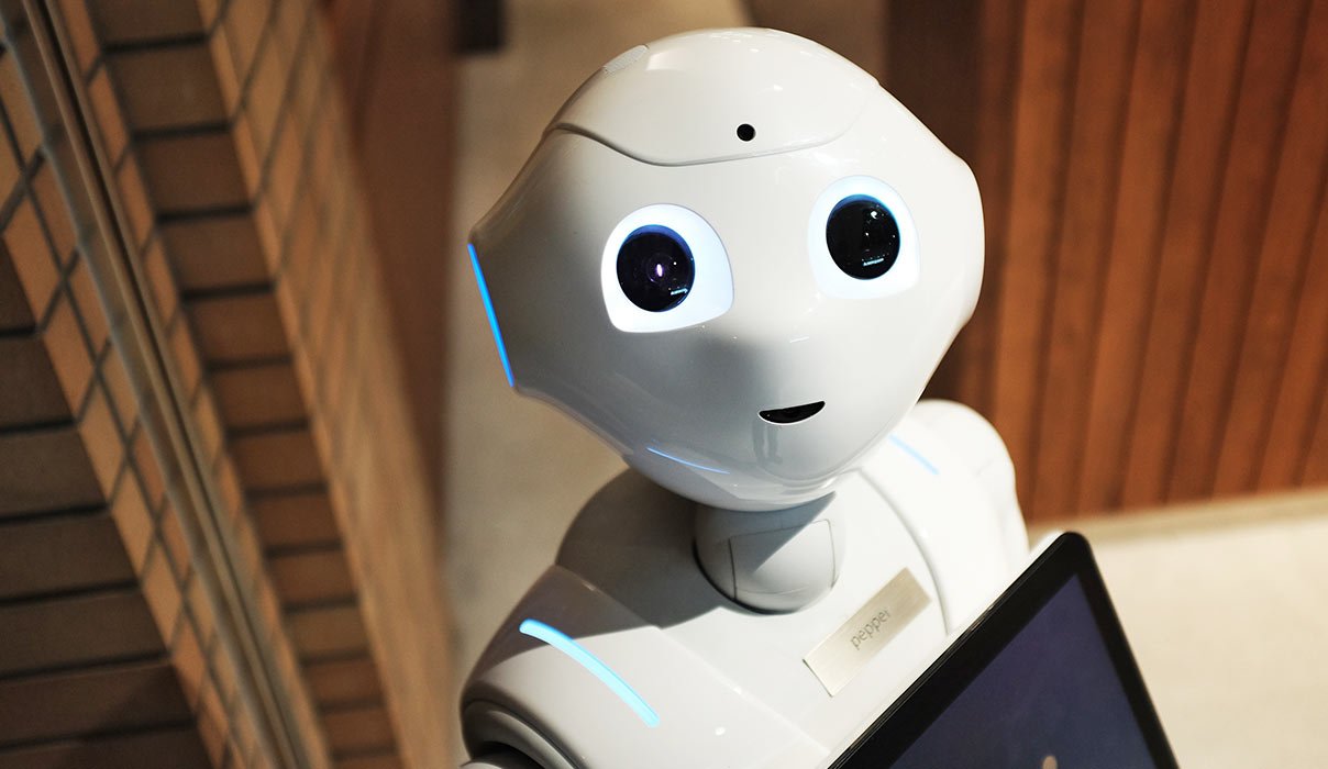 Humanoid Robot Humanoid Robot